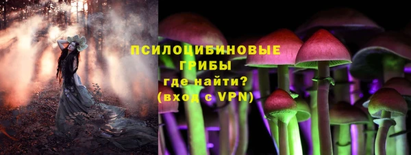 ПСИЛОЦИБИНОВЫЕ ГРИБЫ Красноперекопск
