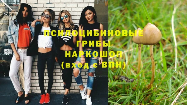ПСИЛОЦИБИНОВЫЕ ГРИБЫ Красноперекопск